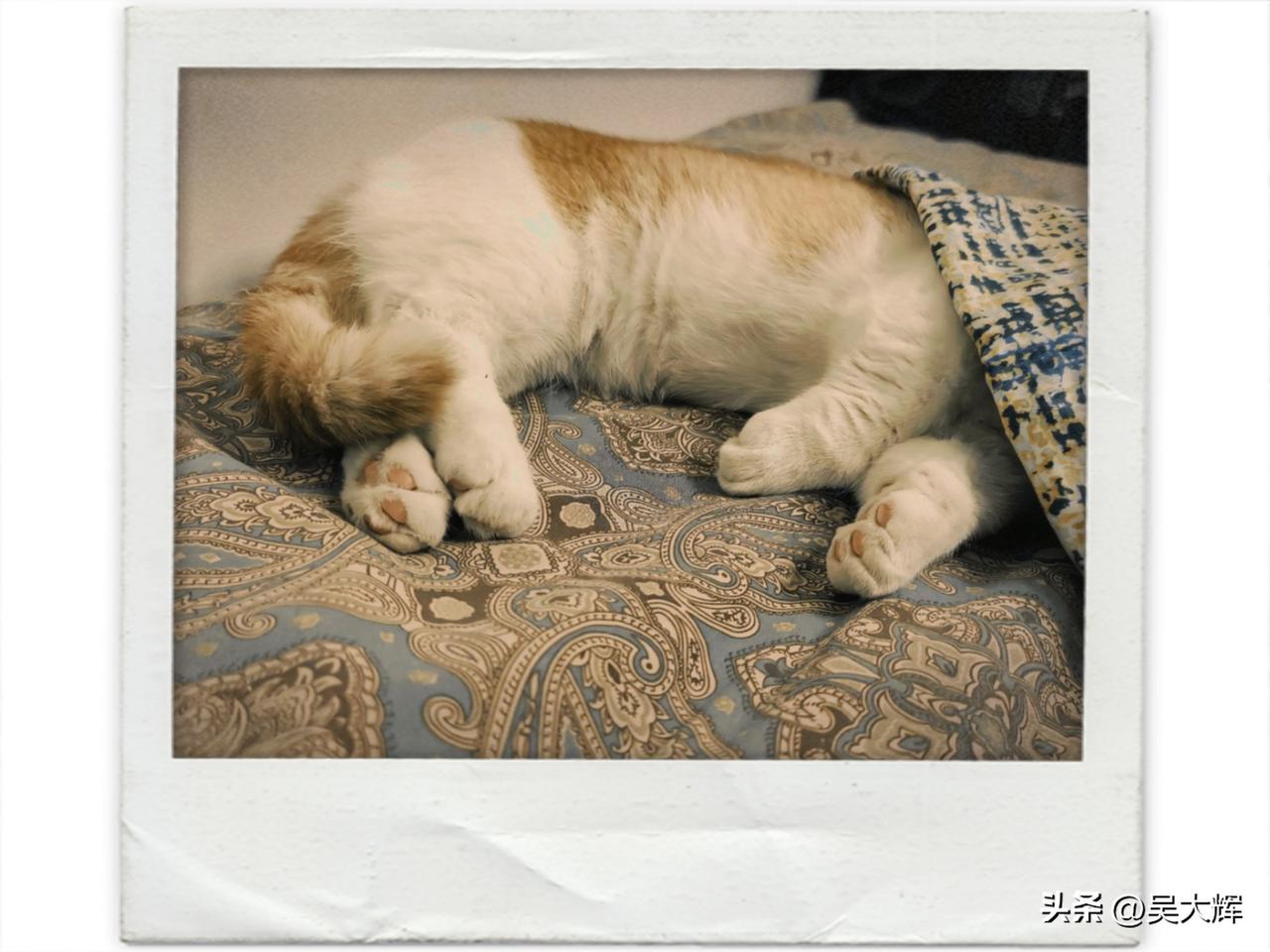 彭博社：欧盟正借鉴乌克兰危机时期的策略，以抑制能源价格高企
 
欧盟准备重启20