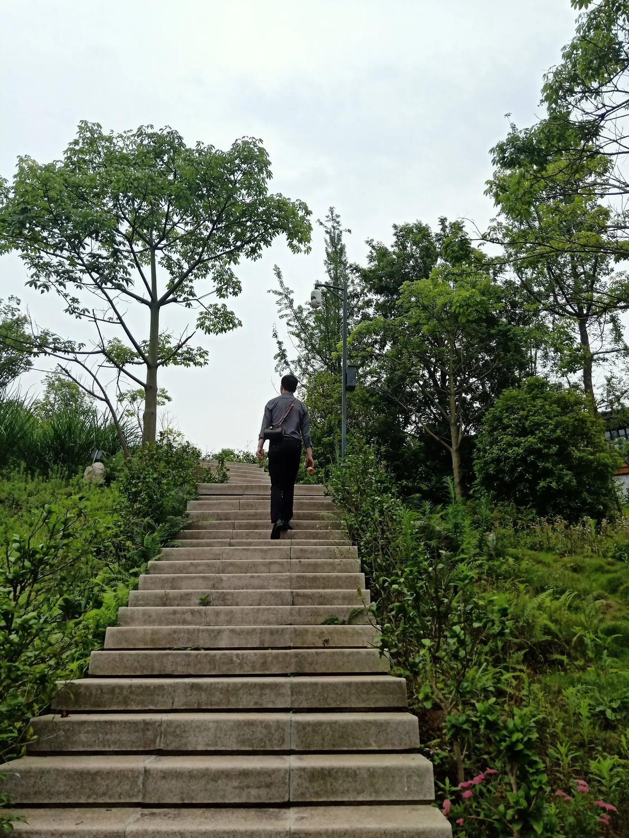 一张图记录元旦假期爬山⛰️