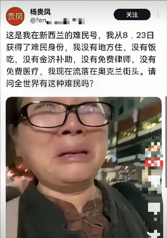 在易中天的华丽辞藻下，杨贵凤的泪水是对现实的无声抗议。真正的文明不是空洞的口号，
