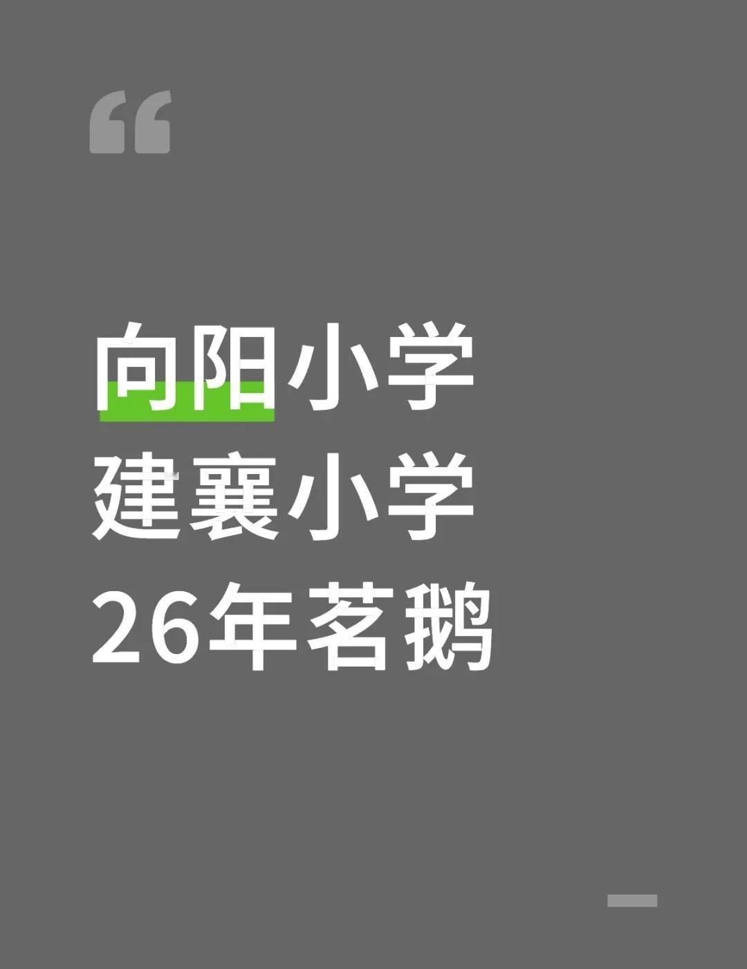徐汇向阳小学
向阳小学，建襄小学。26年茗鹅，外区有。上海升学 上海小升初 上海