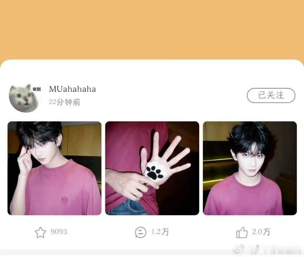 穆祉丞高会更新小猫爪子穆祉丞的手和小猫爪子 啊呀呀呀呀好可爱 ​​​