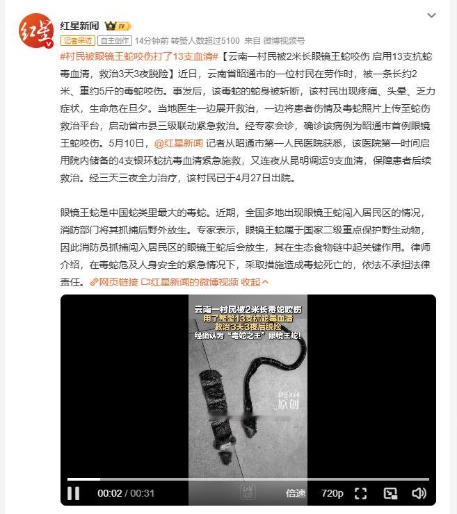 村民被眼镜王蛇咬伤打了13支血清 2米长的眼镜王蛇咬伤昭通村民，蛇被斩断人已命悬