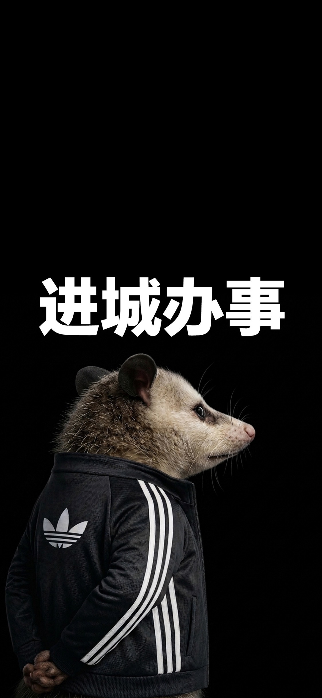 壁纸 壁纸分享 