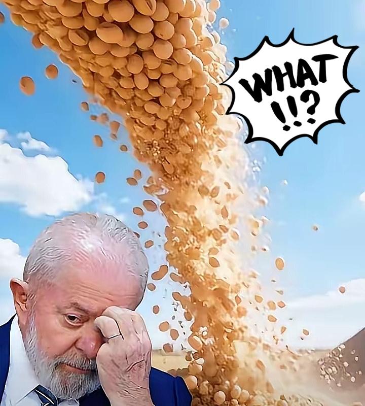 快讯
这下巴西不说话了
巴西的大豆这几天又涨价了，涨到650美元一吨，本来巴西的