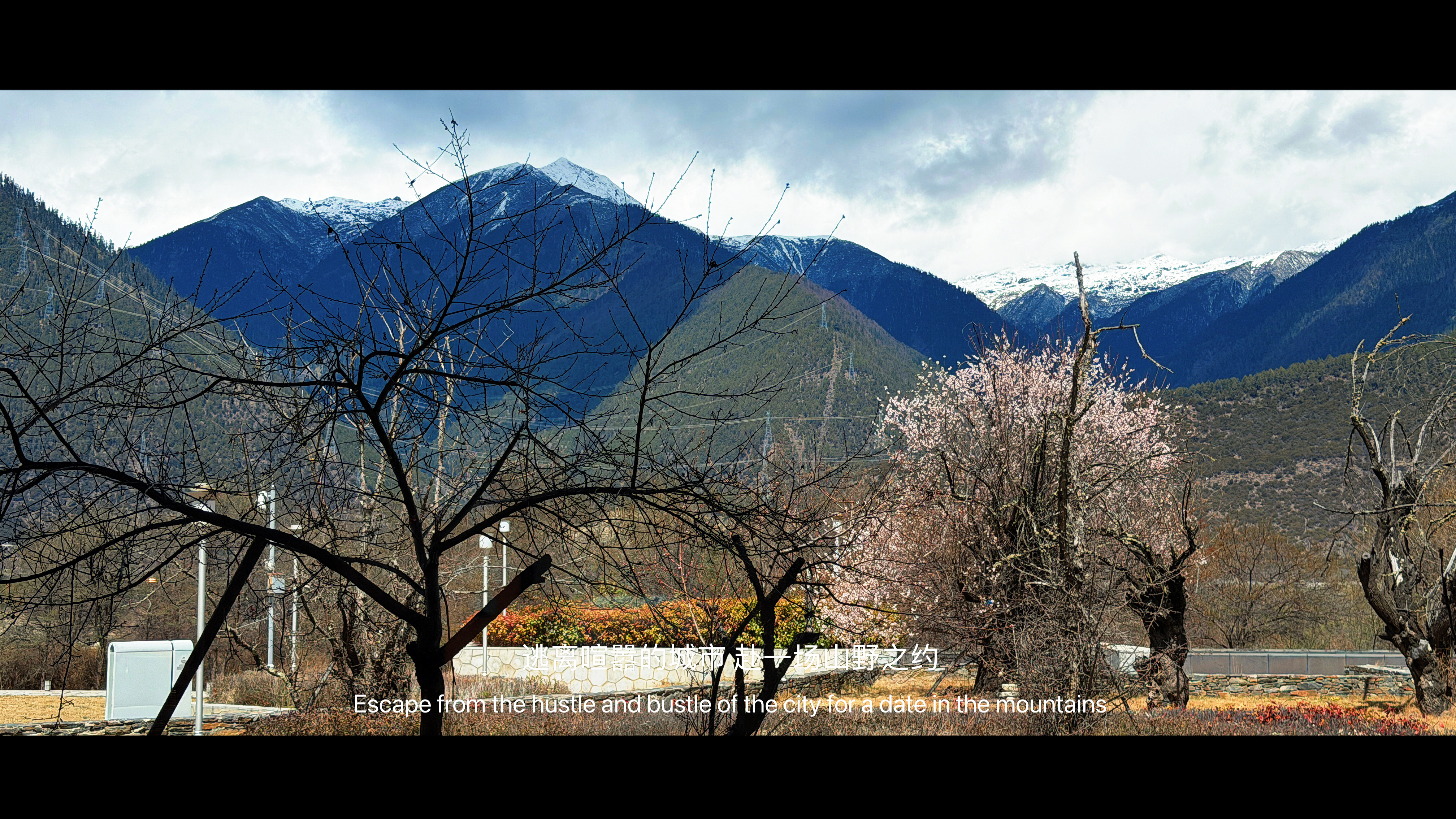 午餐。高原米线！咱就是说，这窗外的景真不错，风轻云慢☁️ 林芝