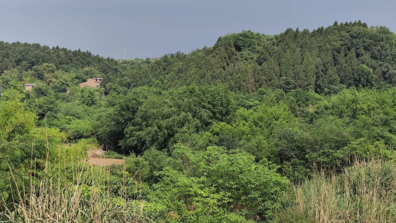 晒图笔记大赛出门走走看看外面的风景！安静祥和的村庄被翠绿的植被包裹着，不远处高架