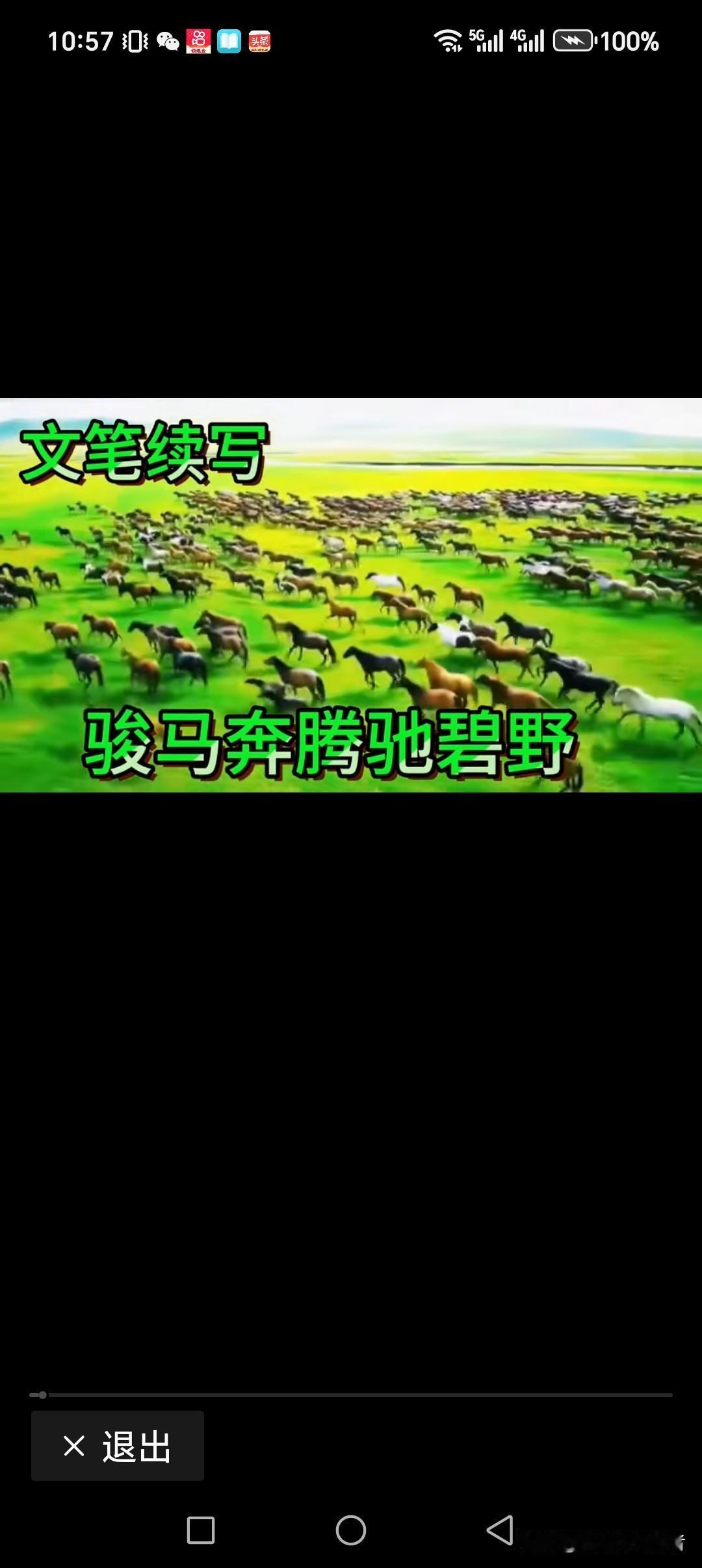 俊马奔腾驰碧野
奋发驰骋绘宏图