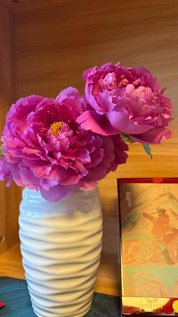 牡丹鲜切花到家的第二天 