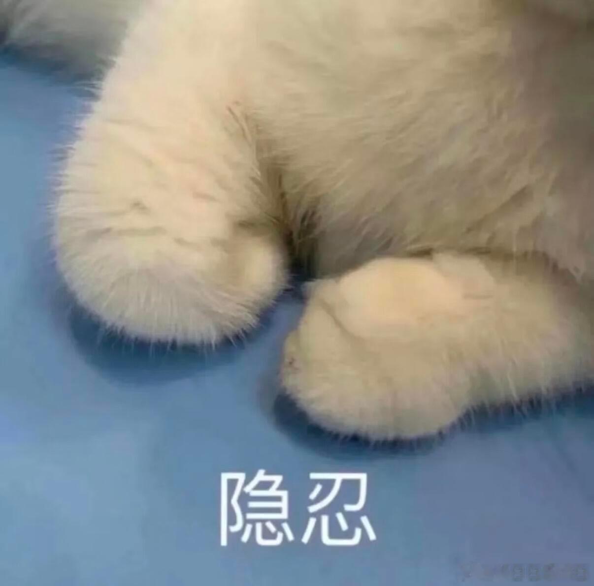 物业回应小区车库恶臭没人管物业和开发商的责任归属问题是世纪难题谁都觉得自己无辜 