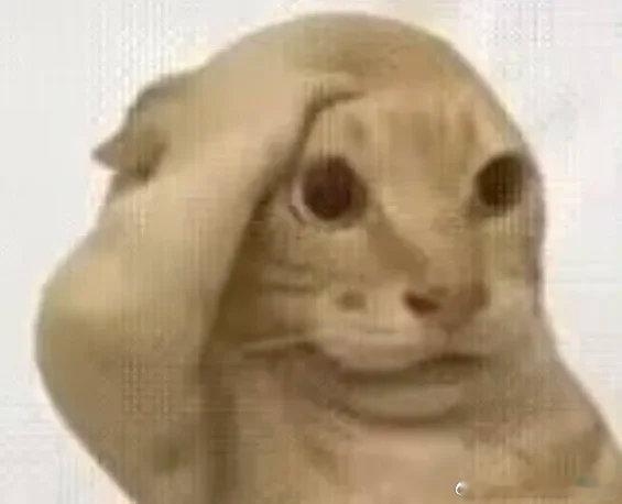 有没有人跟我一样看到别人的应用赞多 就点进去研究看完觉得 好吧确实比我好技术普惠