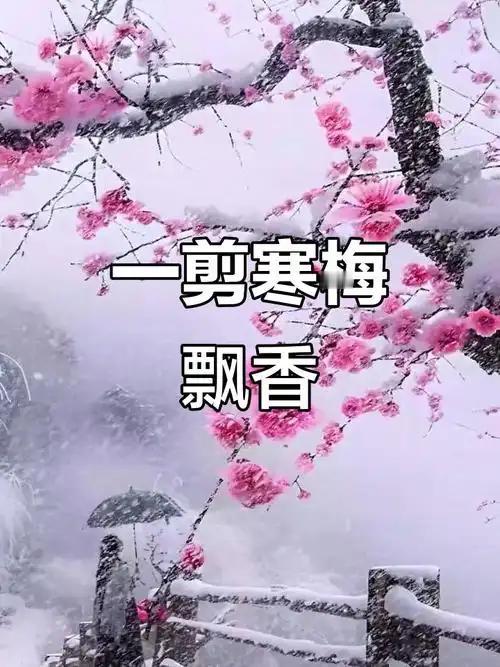 健康智慧对联
上联：冬雪飘洒梅花韵，请赐下联。健康智慧
上联：冬雪飘洒梅花韵
下