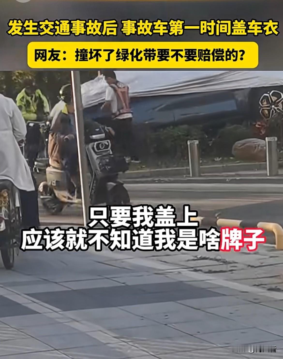 为什么车子发生事故都要盖上布，而且都是在绿化带上的比较多，是不是不能见光