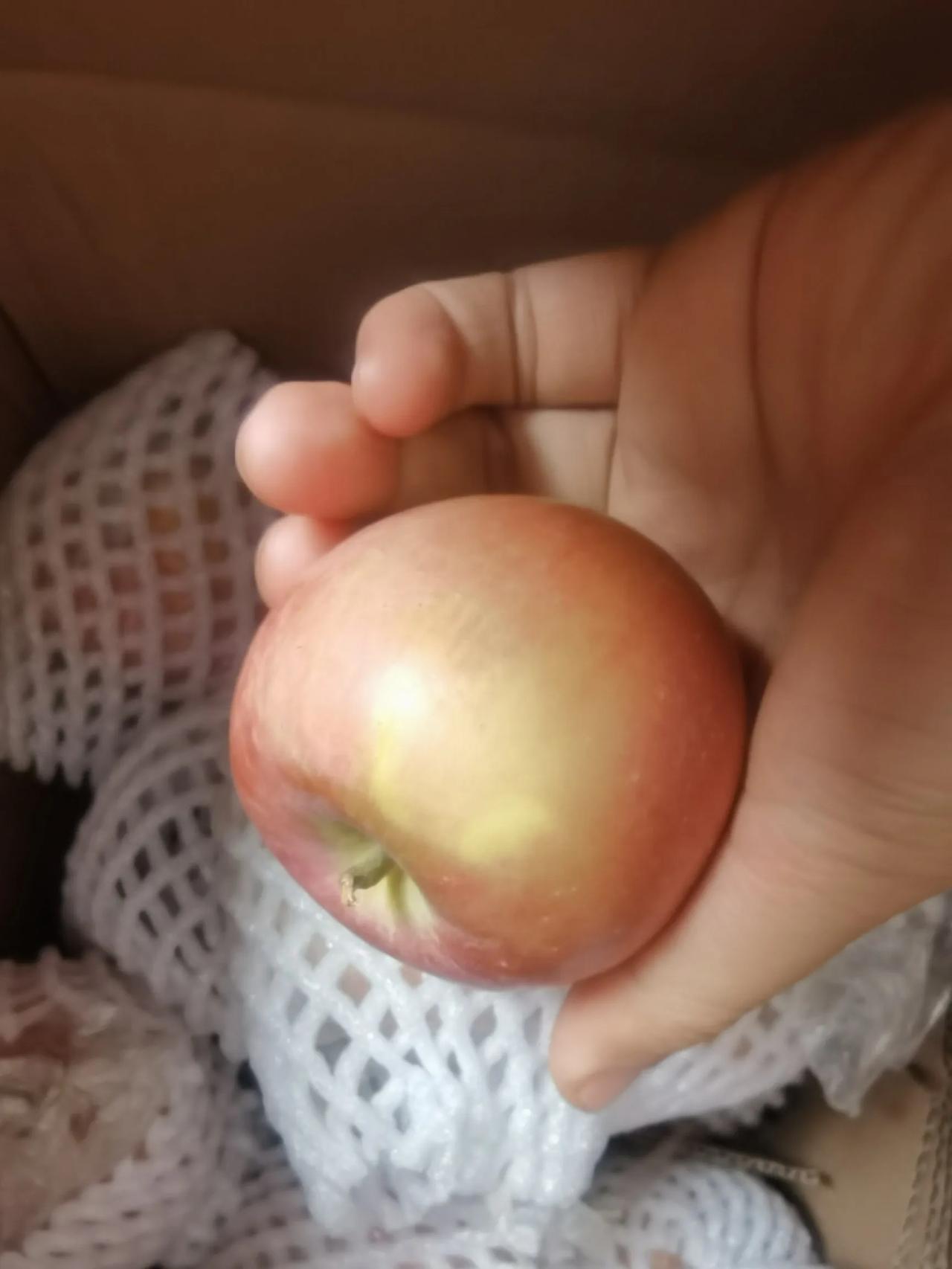 我的宝藏兴趣