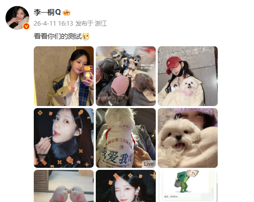 李一桐的sbti是poor李一桐晒sbti 哈哈哈哈怎么这么可爱 