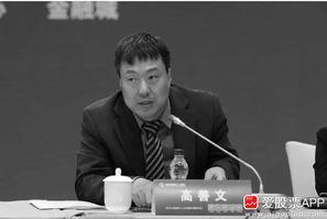看到一个非常沉痛的消息，据接近人士透露，著名经济学家高善文于今日不幸离世！高博是