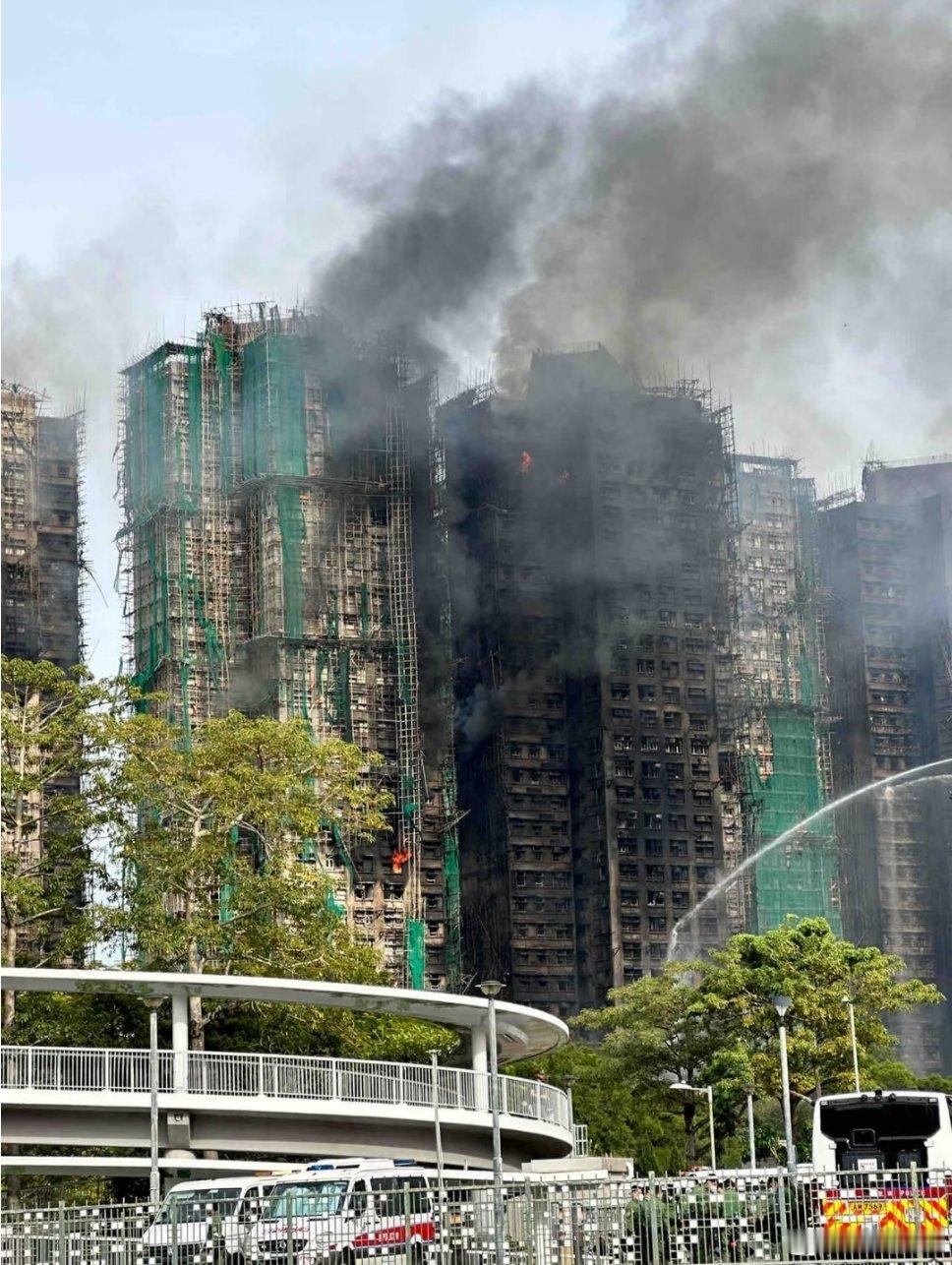 本来大火基本已经灭了结果刚才又复燃了（同事家在那里还有两只猫没救出来 这种情况下