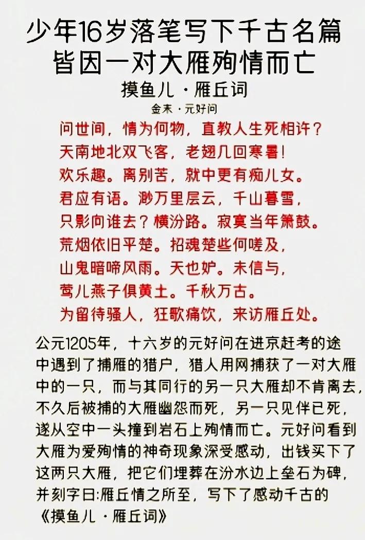 摸鱼儿.雁丘词