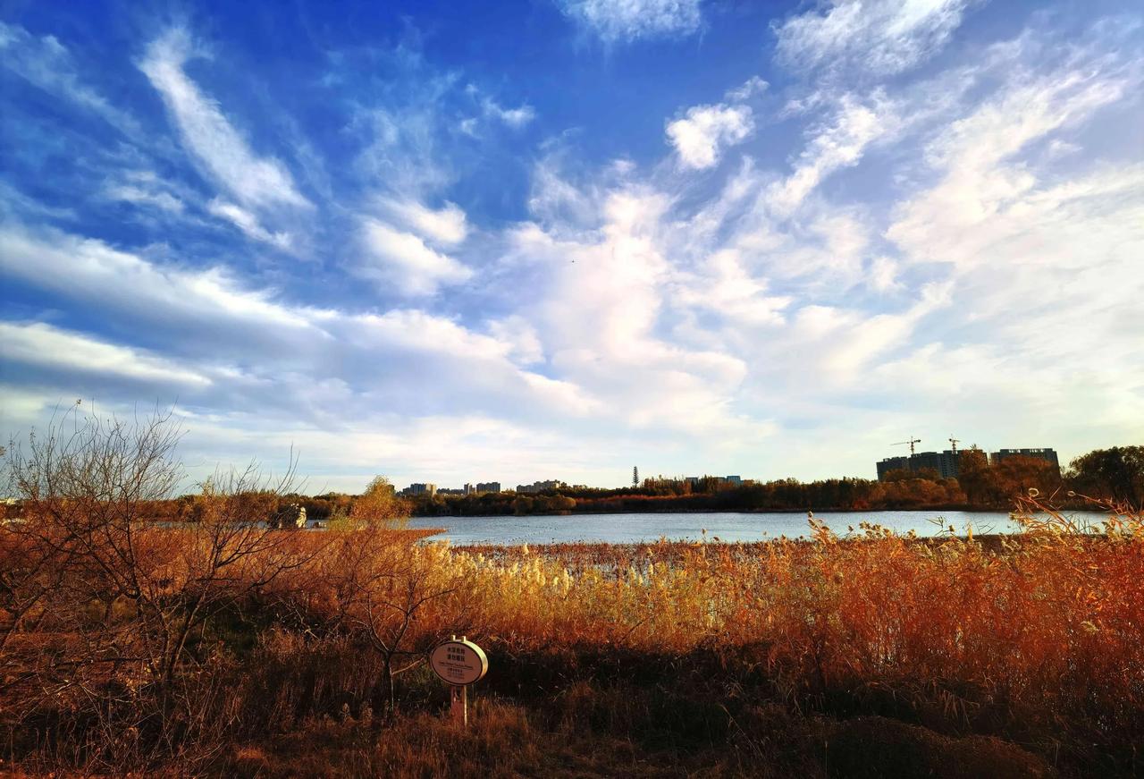 “秋天，在北平是最适宜于游人享乐的季节。没有风，没有雨，太阳整天暖融融地照着。”