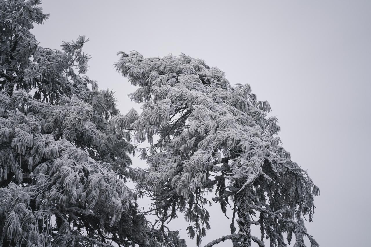 有一种叫云南的生活 保持热爱奔赴山海 云南 雪景 梁王山