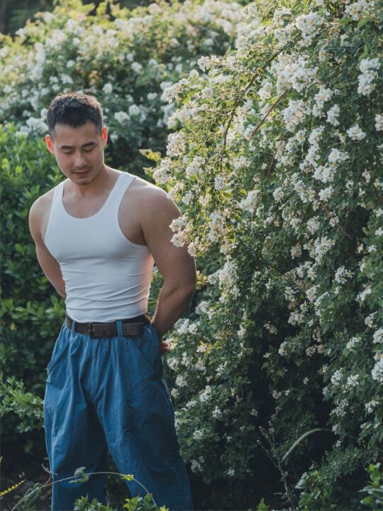 初夏与白蔷薇，撞个满怀