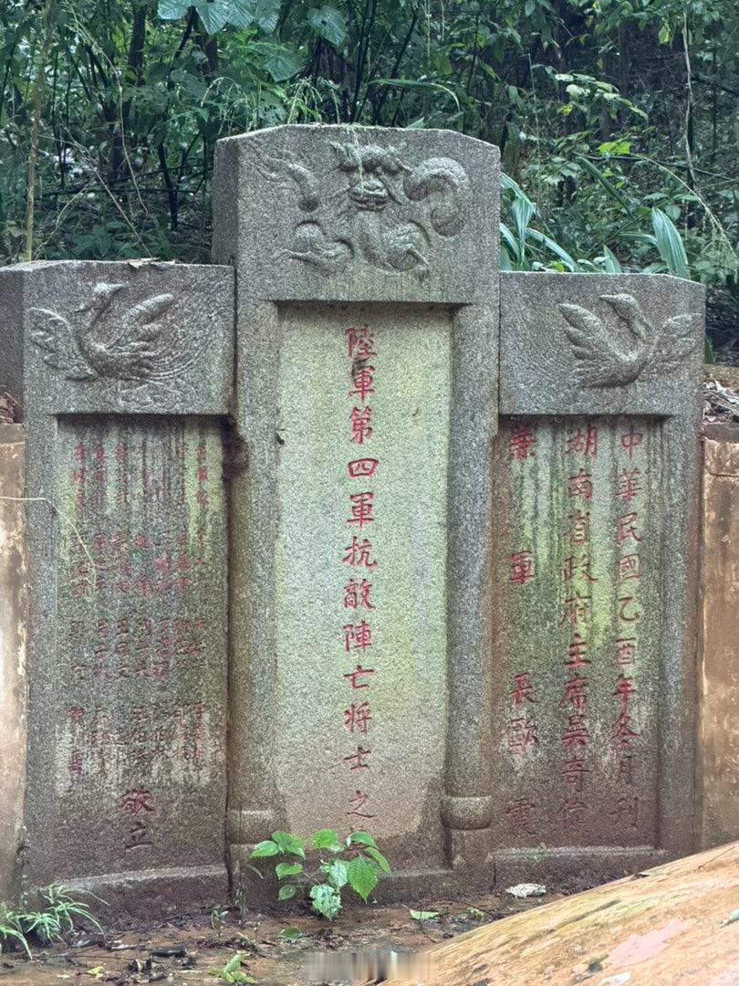 冒雨完成了此行的最后一站——岳麓山，连着三天高强度消耗太大，中途补水和环卫工聊天
