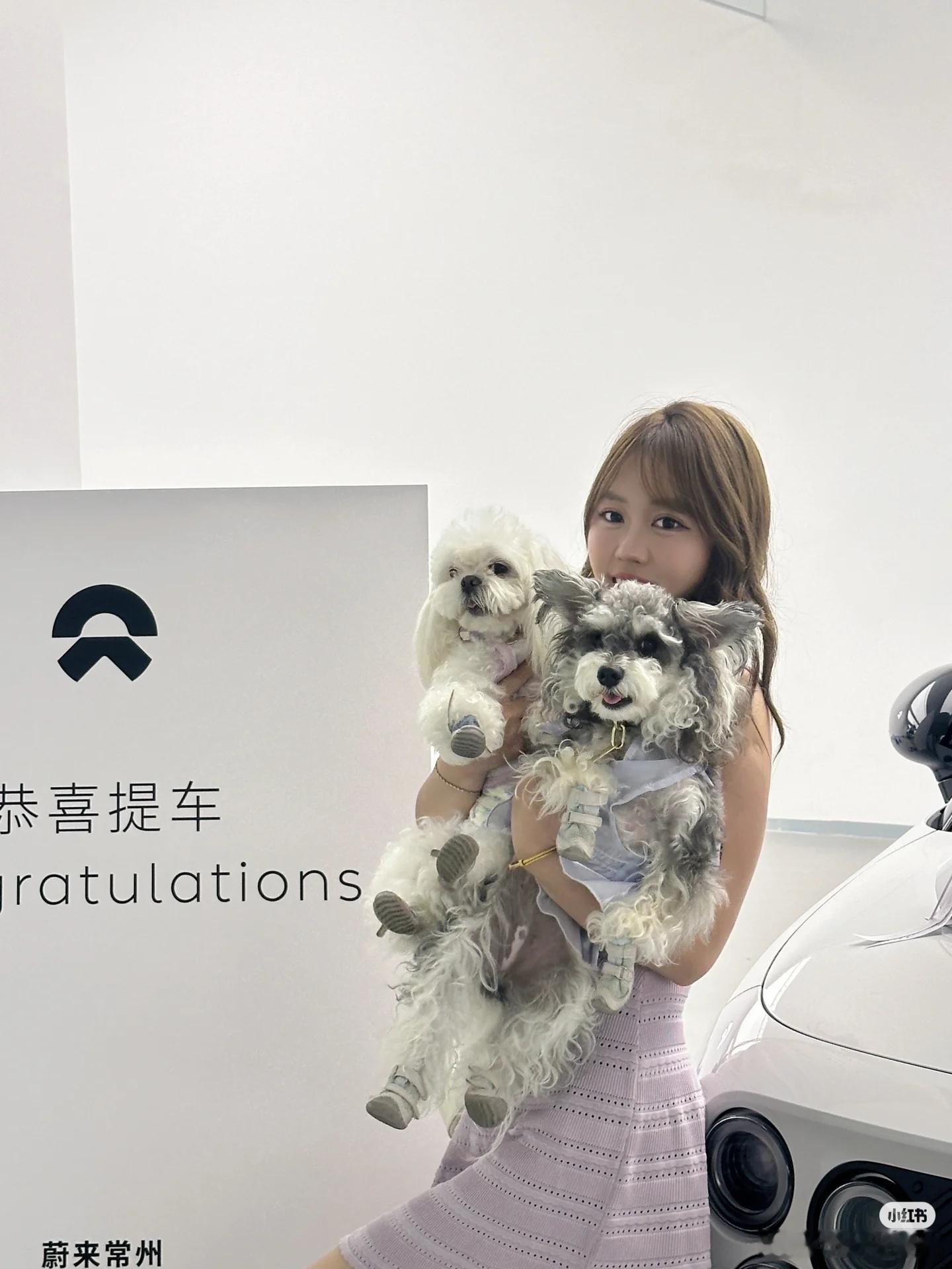 我们小虫子车主真的很有爱心为了能自由地带狗出去玩，选来选去，买了个最合适的性价比