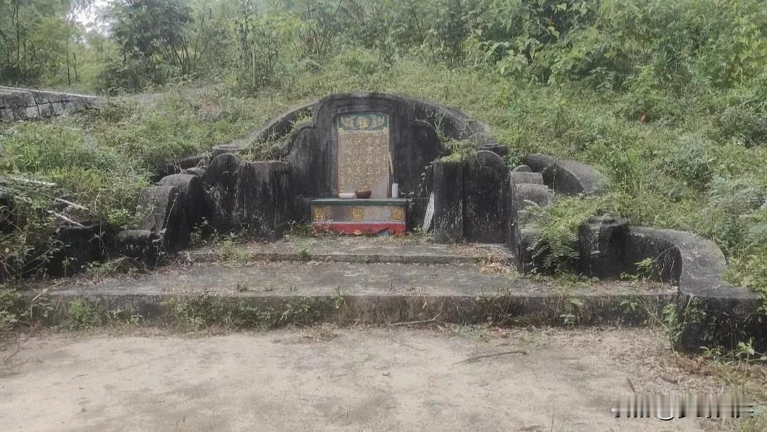 广东山顶上发现一座大型古墓，封土堆上巳经长满了杂草与树，据本地人说墓主人后代子孙