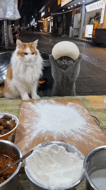 AI出品，必属精品