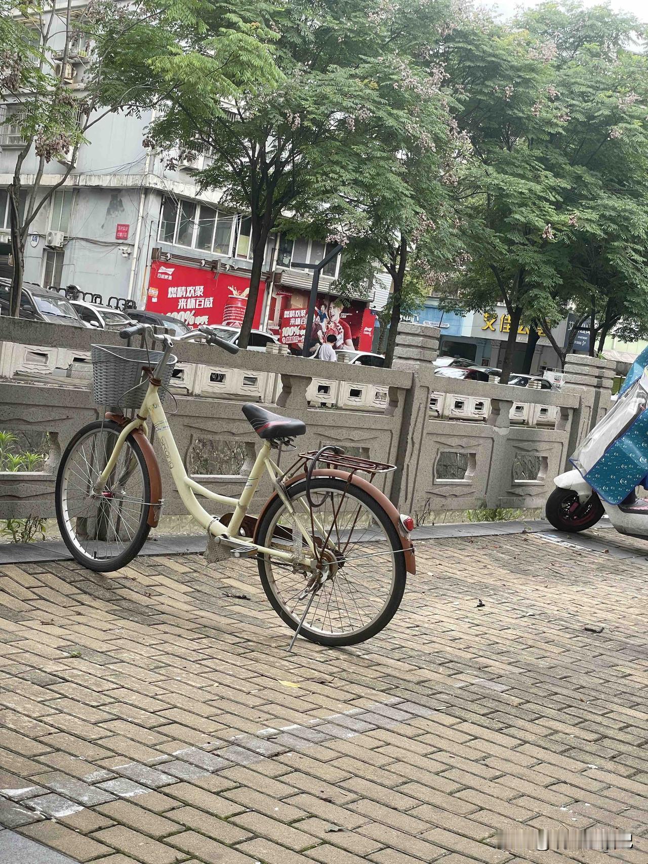 花了180块钱在拼多多买了一辆自行车，安装好后10块钱卖给收废品的了，别问我为什