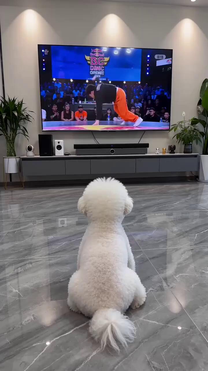 哈。