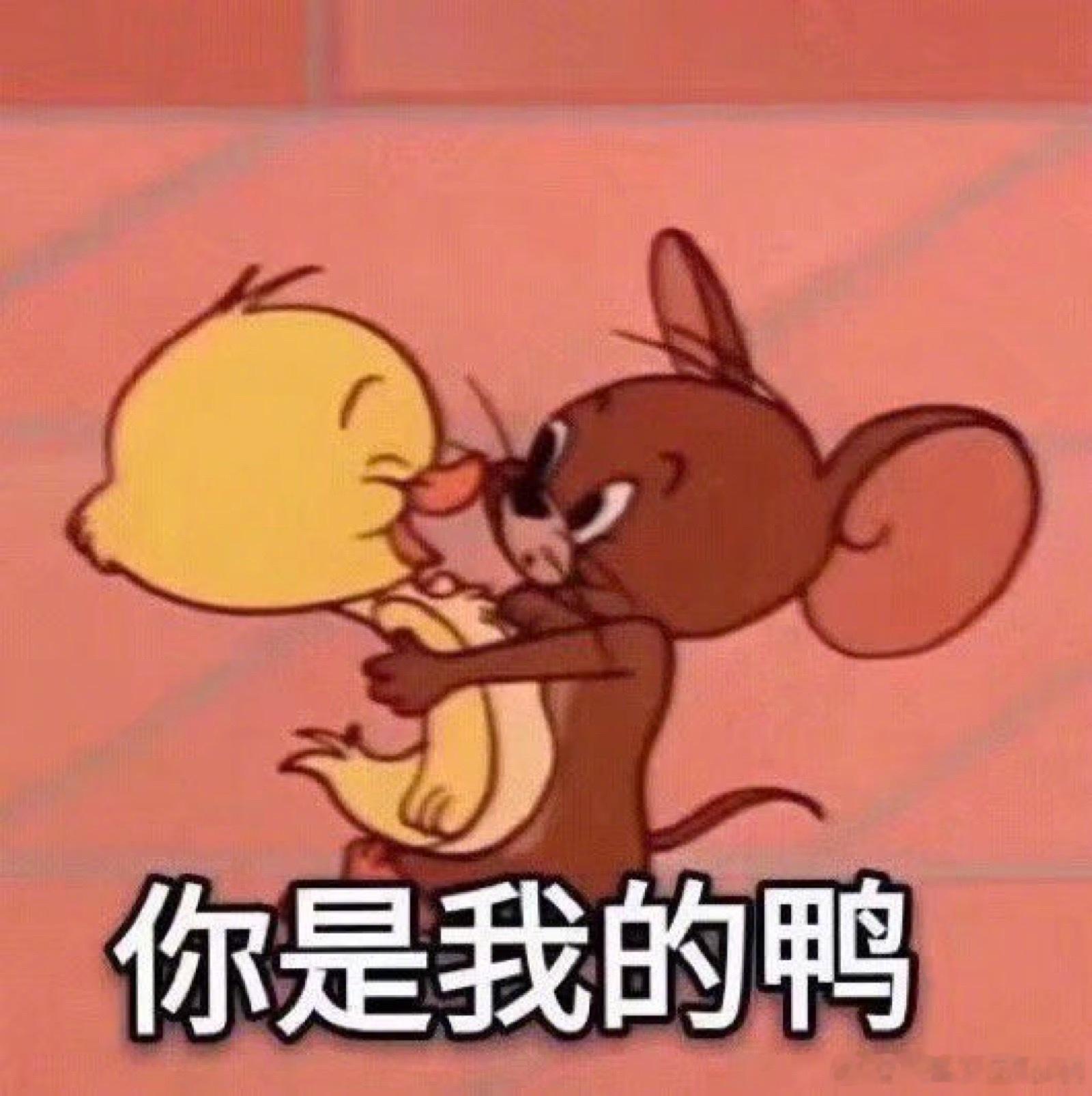 十二星座恋爱里最吃哪套？吃直球组：白羊：别绕，直接说喜欢狮子：给足面子，当众表白