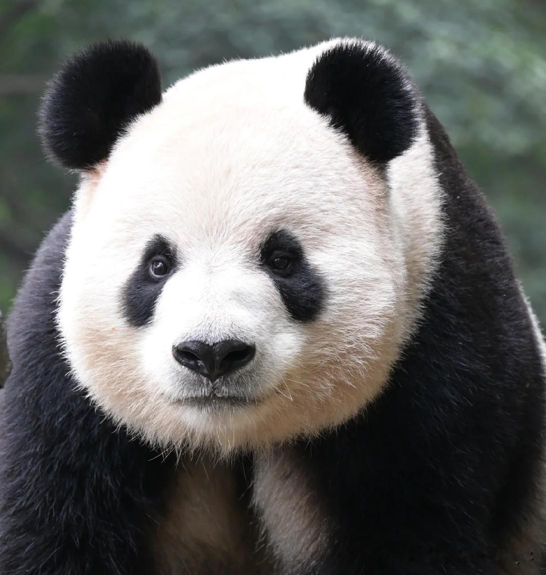 兰双双是不是又帅了几分？为了多看几眼这个大帅哥，我心甘情愿在火辣辣的太阳底下罚站