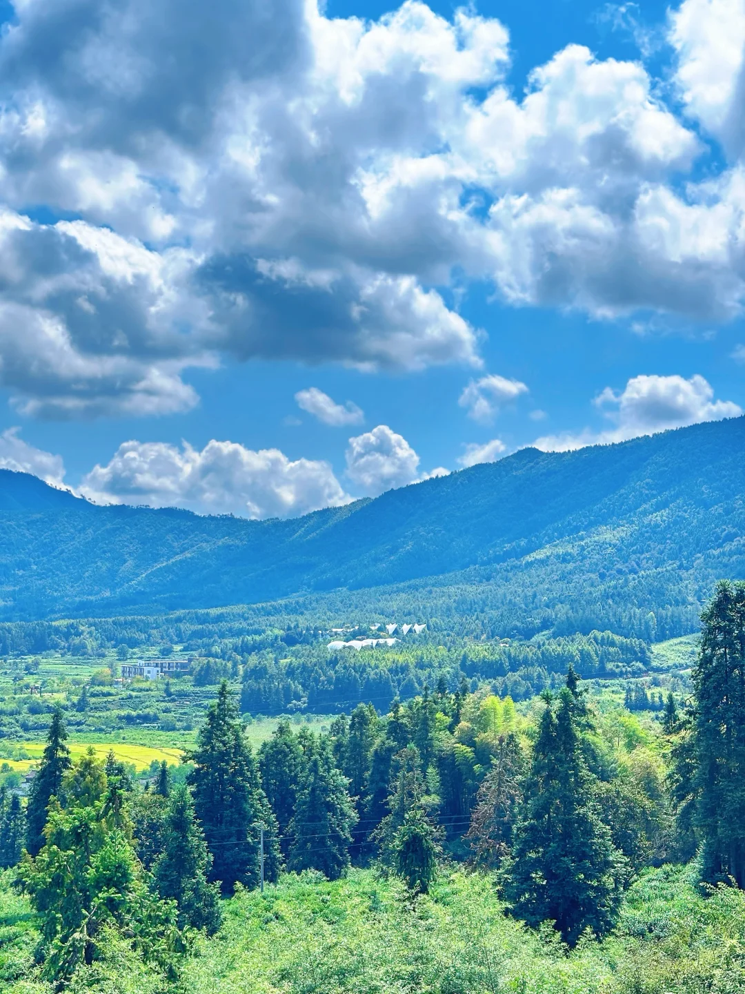 柏溪下高速路过关麓村观景平台，旁边开了一个咖啡车 拍照真的绝美，老板很会选地方呢