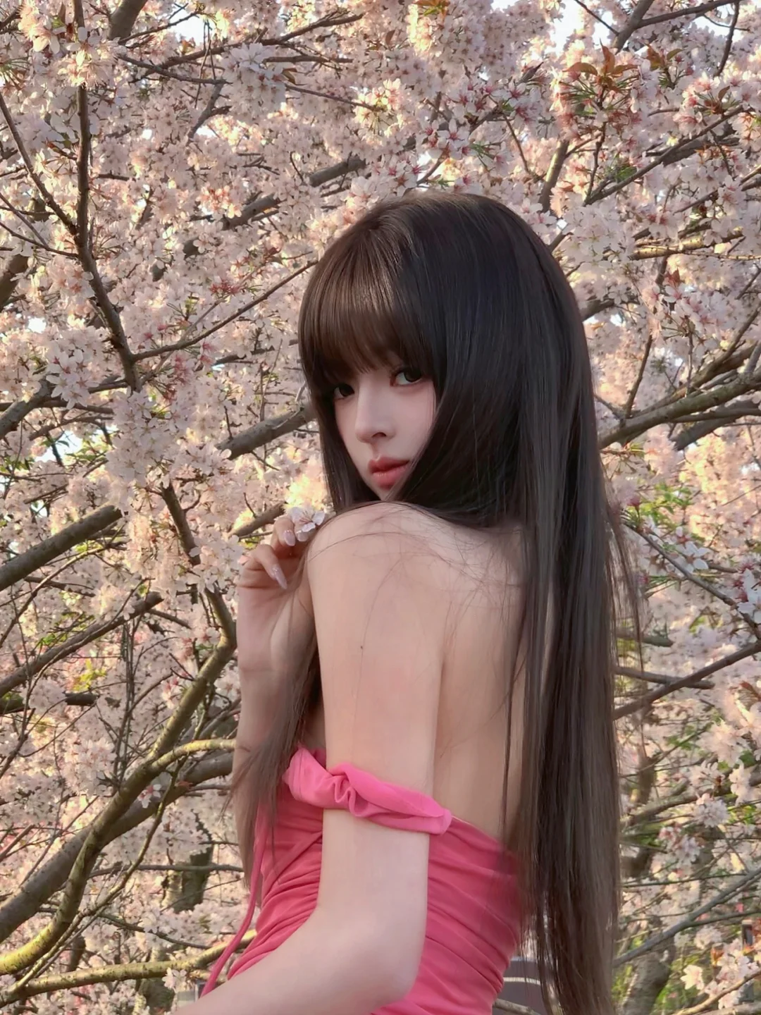 杭州开的最早的樱花🌸