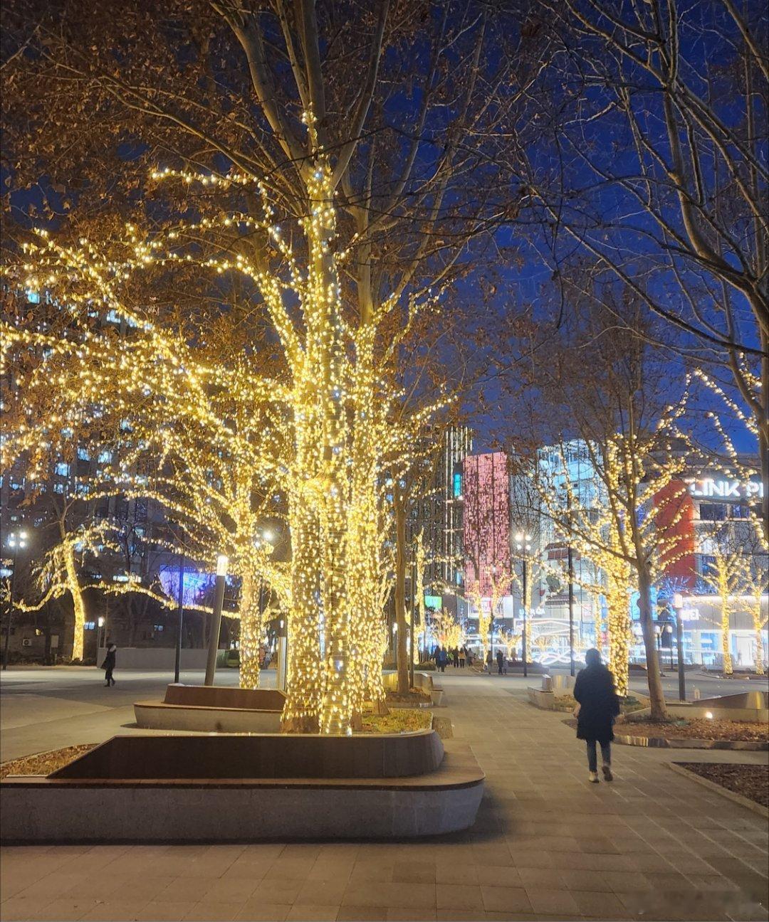 《水调歌头》   京城年味渐浓      华灯初上处，街树缀星罗。红灯笼映楼宇，