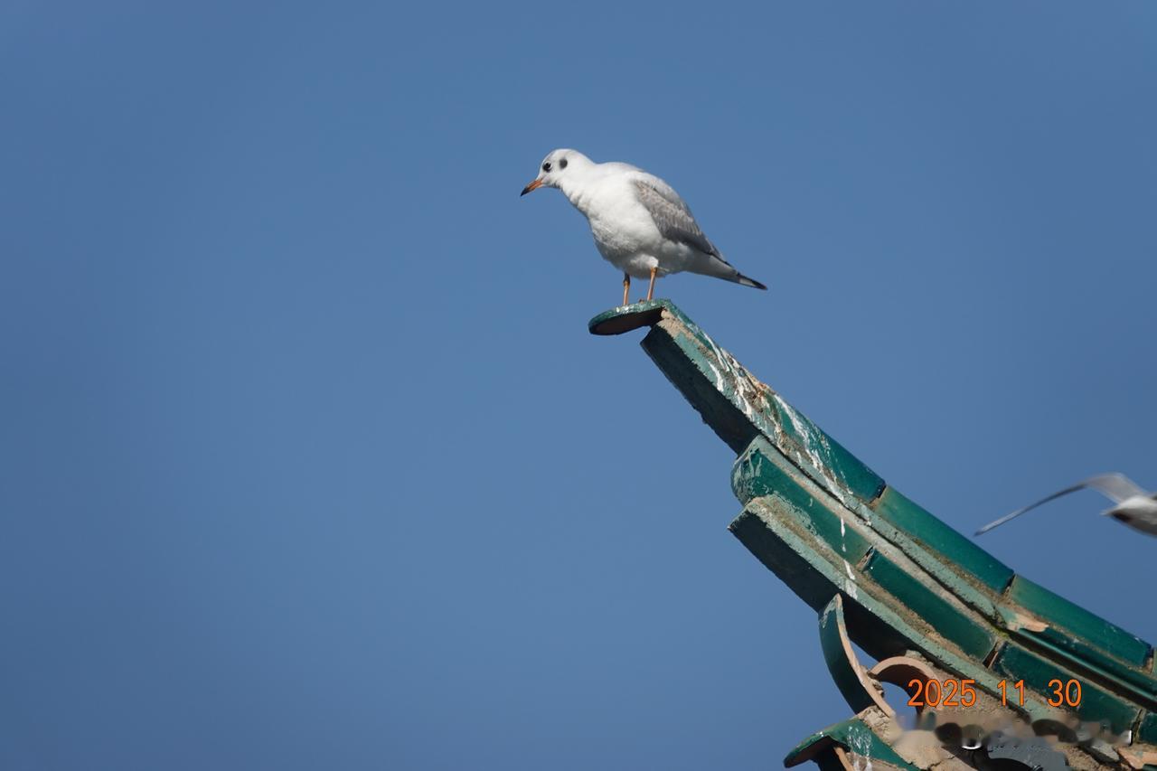 分享一张自然风景的照片，本地风光