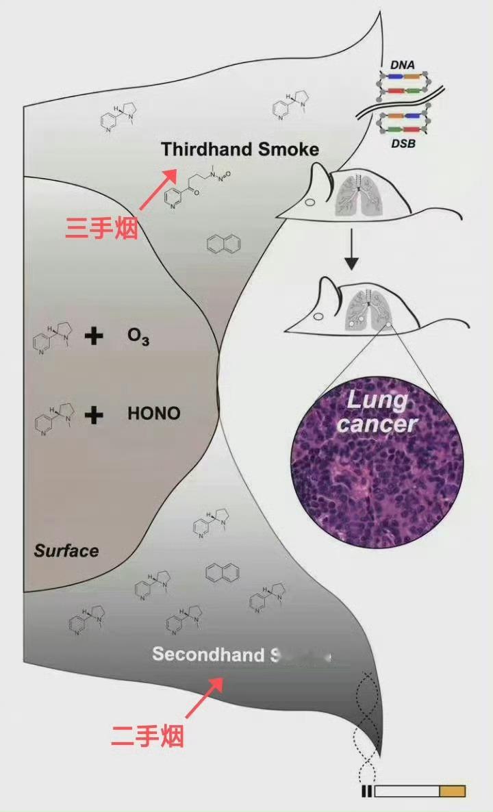 和二手烟一样可怕的三手烟这几年一直科普三手烟的危害！因为你在房子里吸烟是害全家人