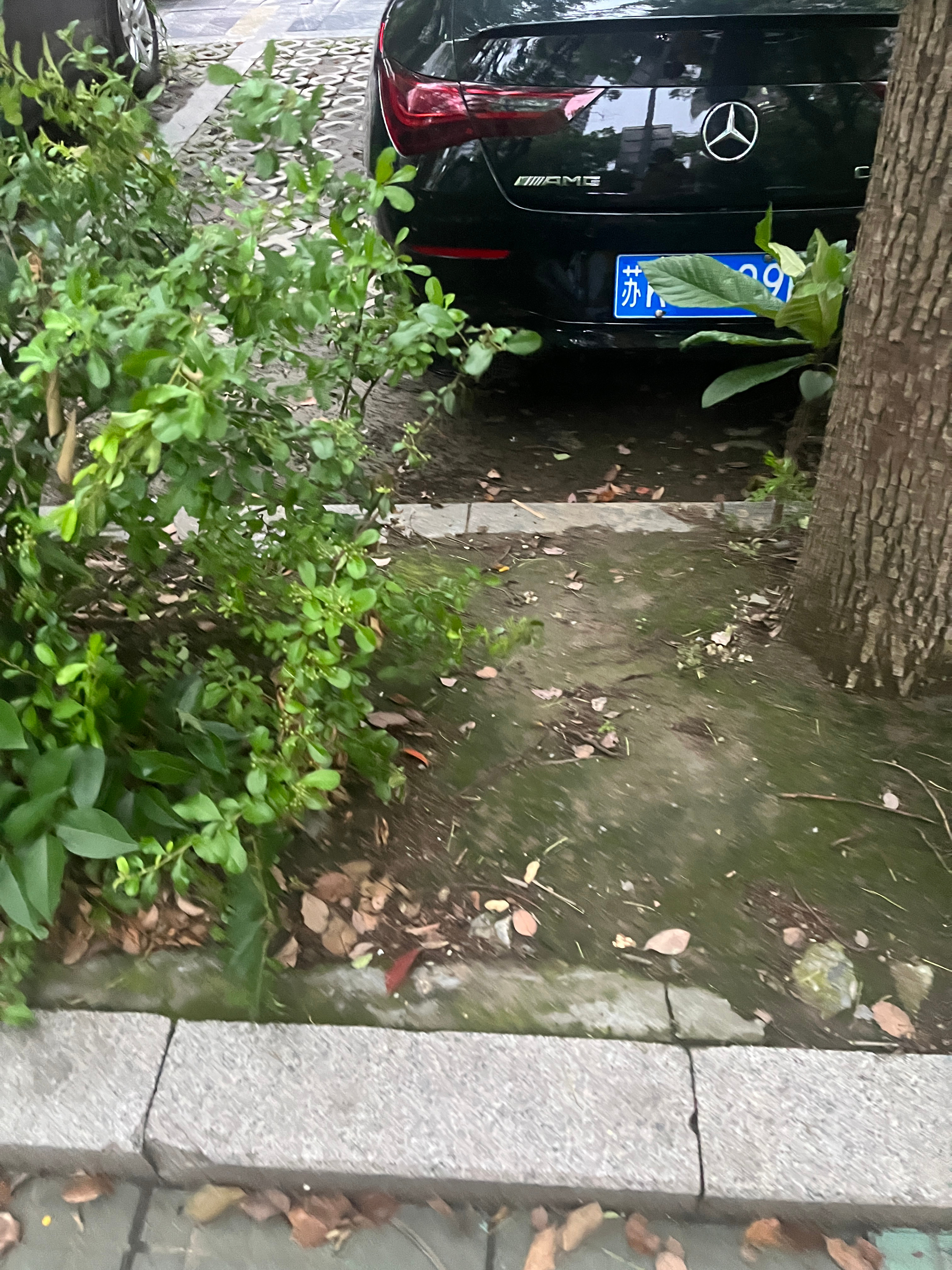 每日一车 