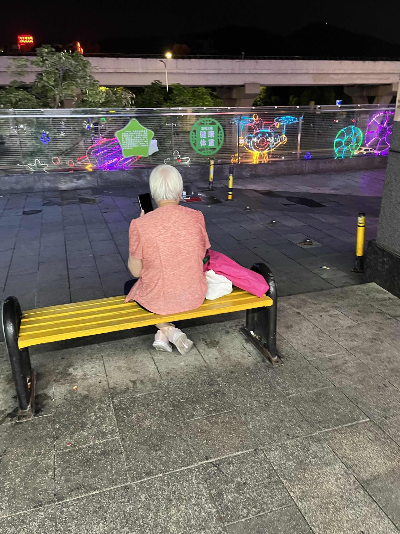 我本入世一浮萍，漂泊半生无处停，兴逢明主知遇恩，策马扬鞭上青云！