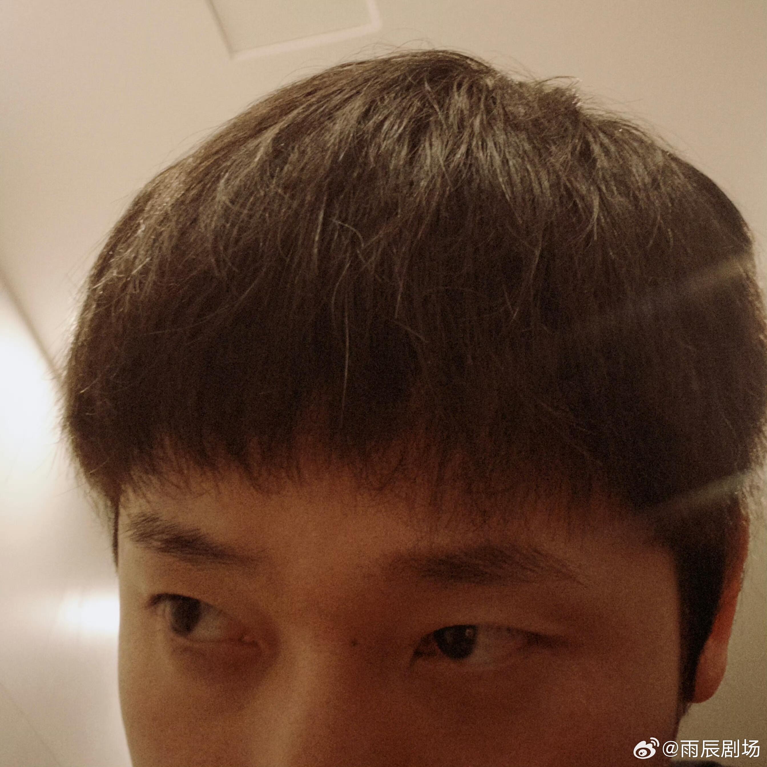 十个勤天 大哥的锅盖头回归啦董事长不忘初心哈哈哈哈十个勤天  |  种地吧  |