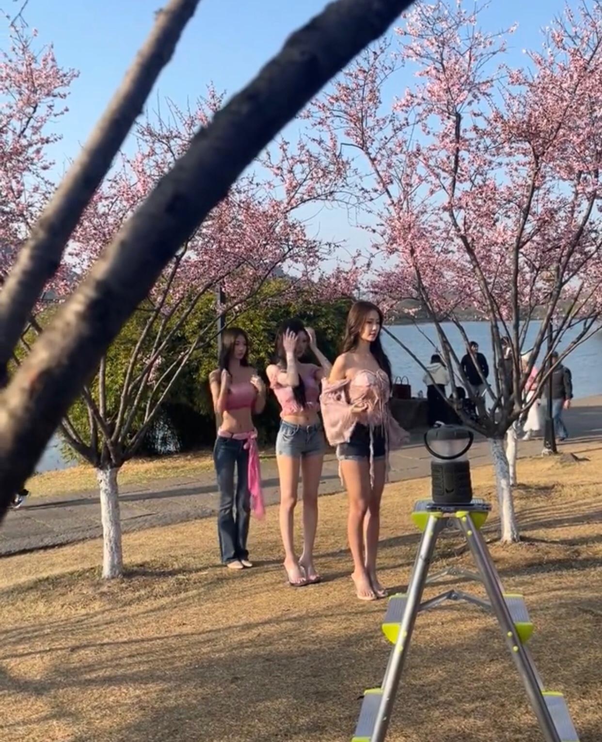 春天到了，
万物竞相绽放，
桃花开得分外妖娆！