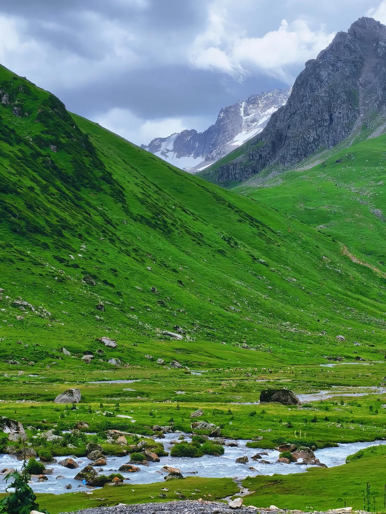最近的一段时间是不是觉得不可思议？美国怎么能这么去做呢？这俨然不是一个大国应该有
