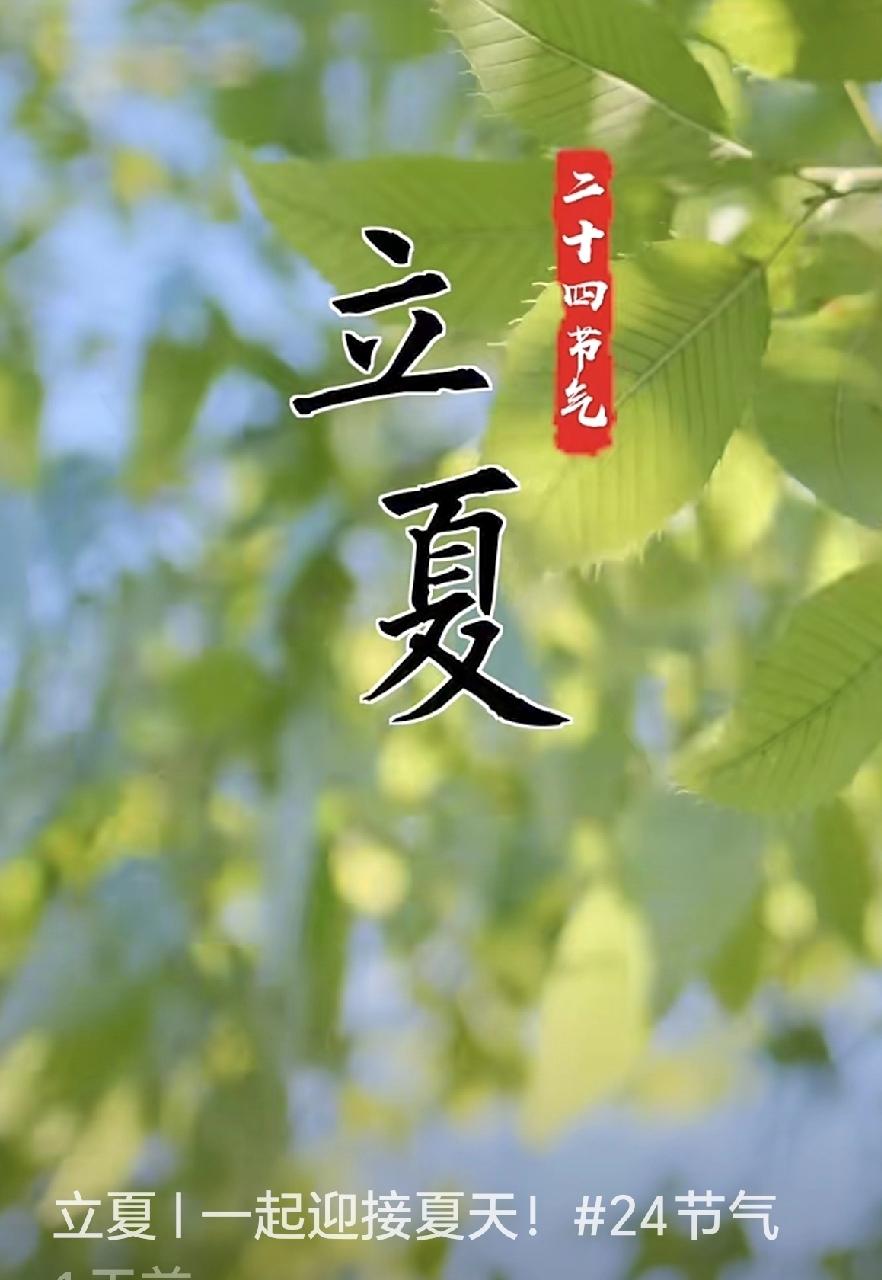 今日立夏
 
今天正式立夏啦！跟春天好好告别，夏天就算稳稳上线了。天气慢慢变热，
