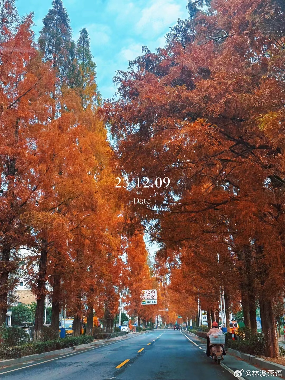 看一眼就记住的画面，分享快乐！ ​​​