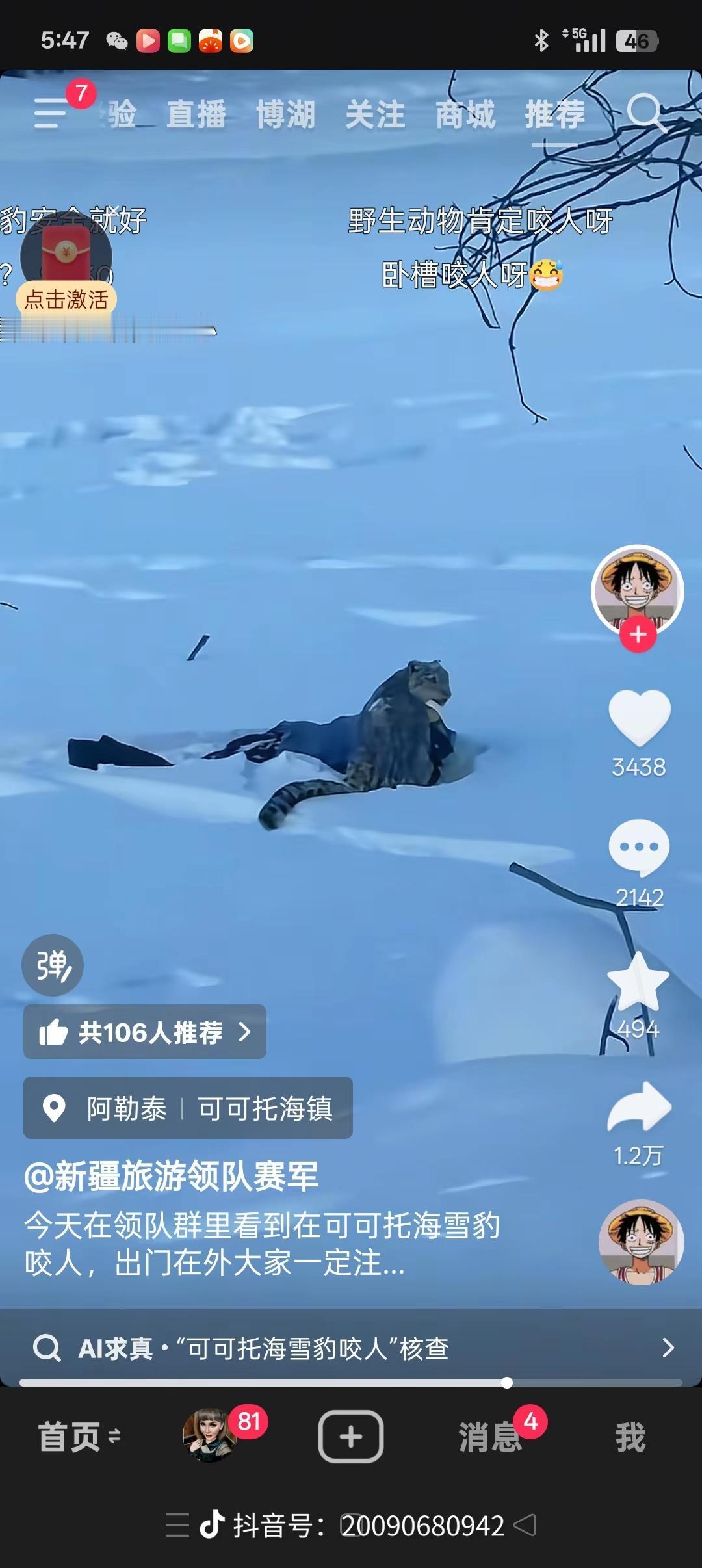 新疆女游客违规进入雪豹领地与其合影拍照被豹子咬了。城市里生存的人没有正常的生活能