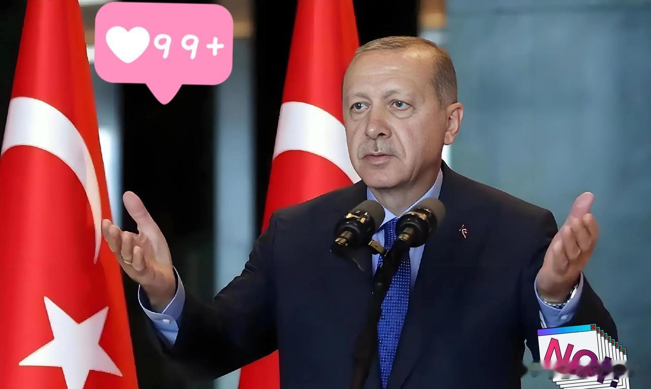 最新快讯！
土耳其正式宣布了

2025年12月31日，土耳其总统埃尔多安签署命