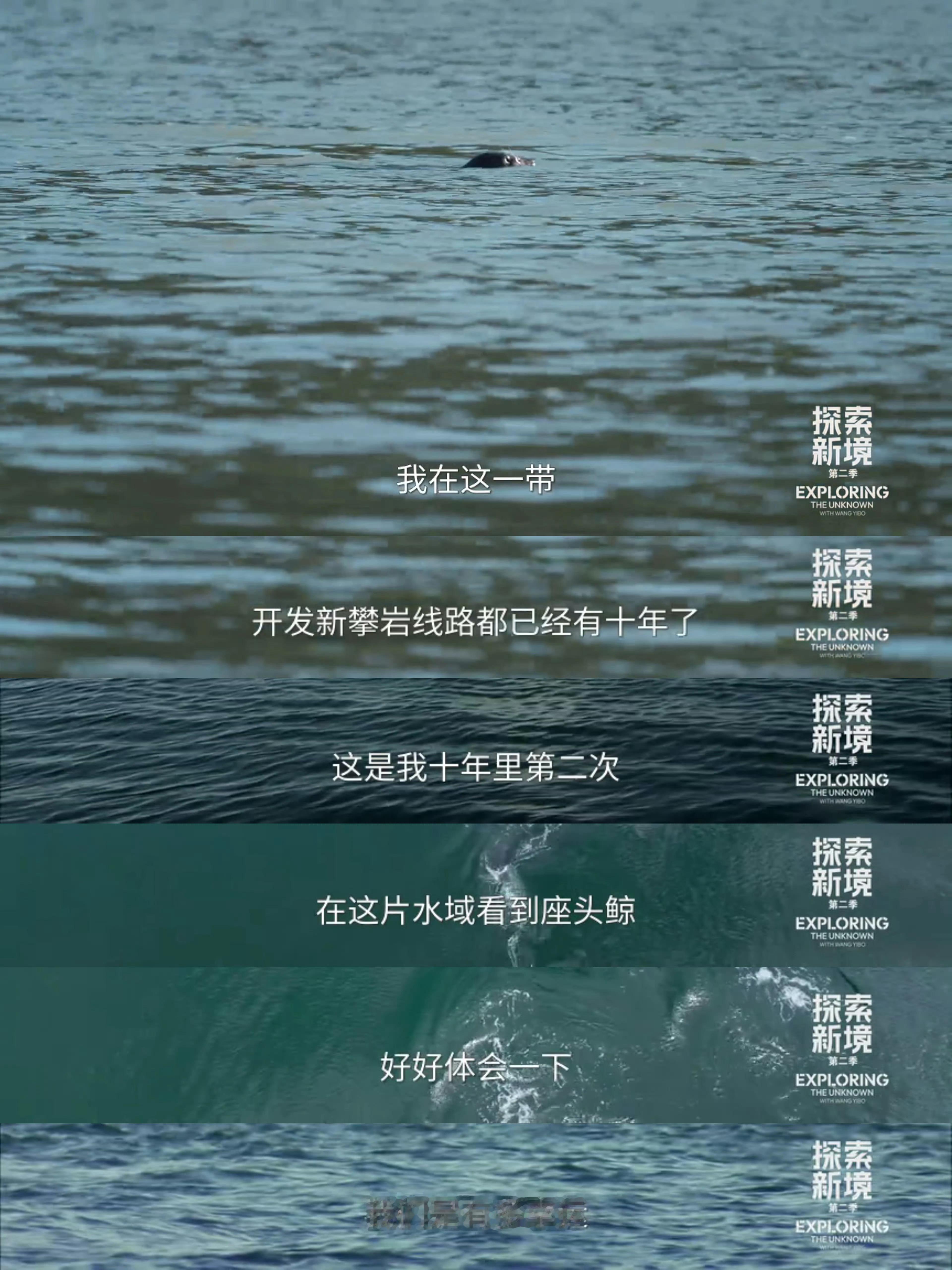 王一博完全是小福星耶啵完全是小福星来的！！！第一次来就看到了十年一遇的座头鲸🐳