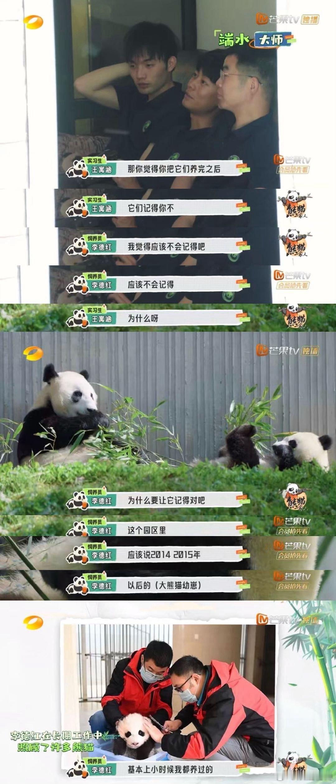 #熊猫认得自己的饲养员吗#这不仅仅是一份工作，更代表着饲养员和熊猫身后有自然的感