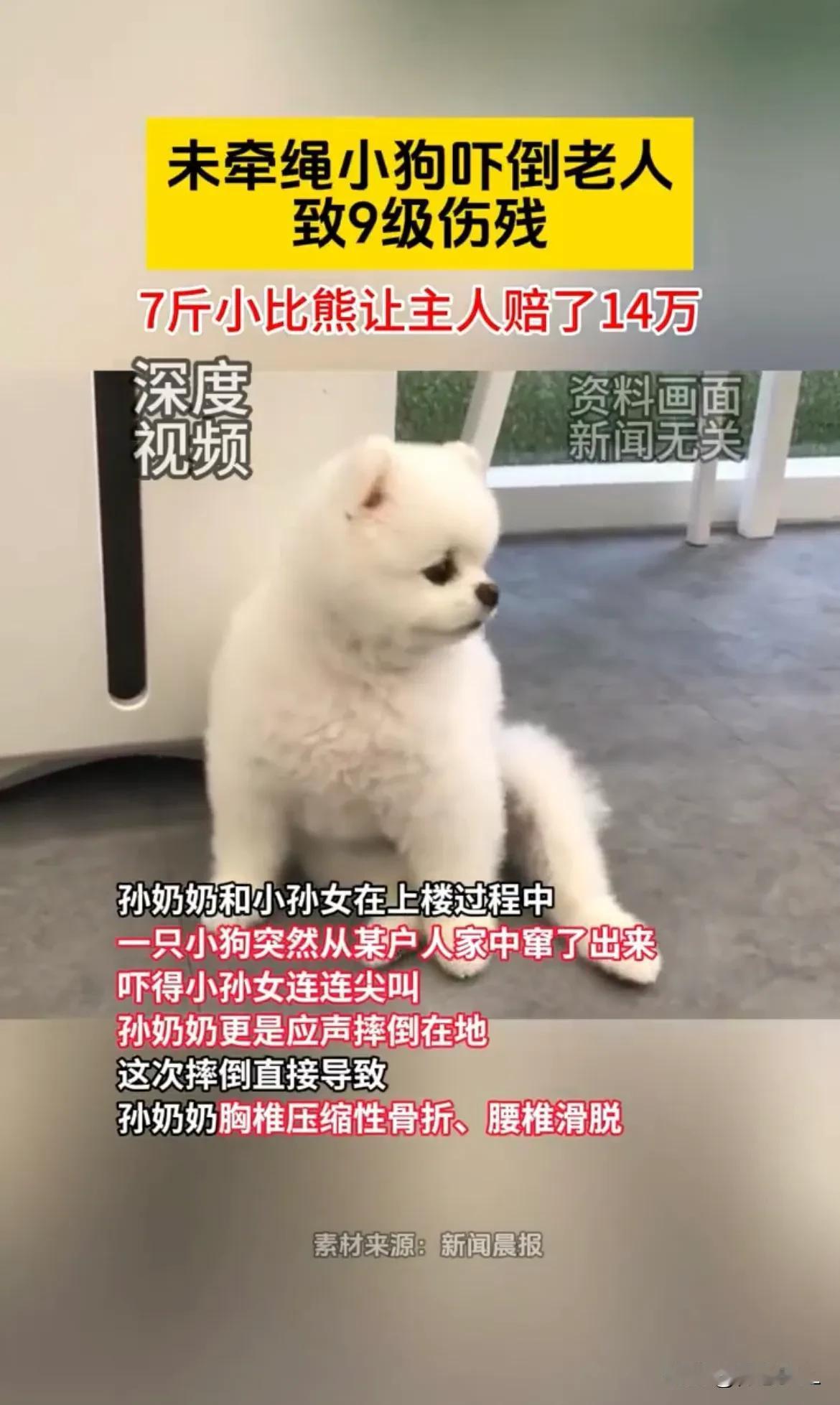 上海，女孩想爸爸妈妈，婆婆带孙女去看儿媳，到达小区，爬楼梯时，一只小狗突然冲女孩