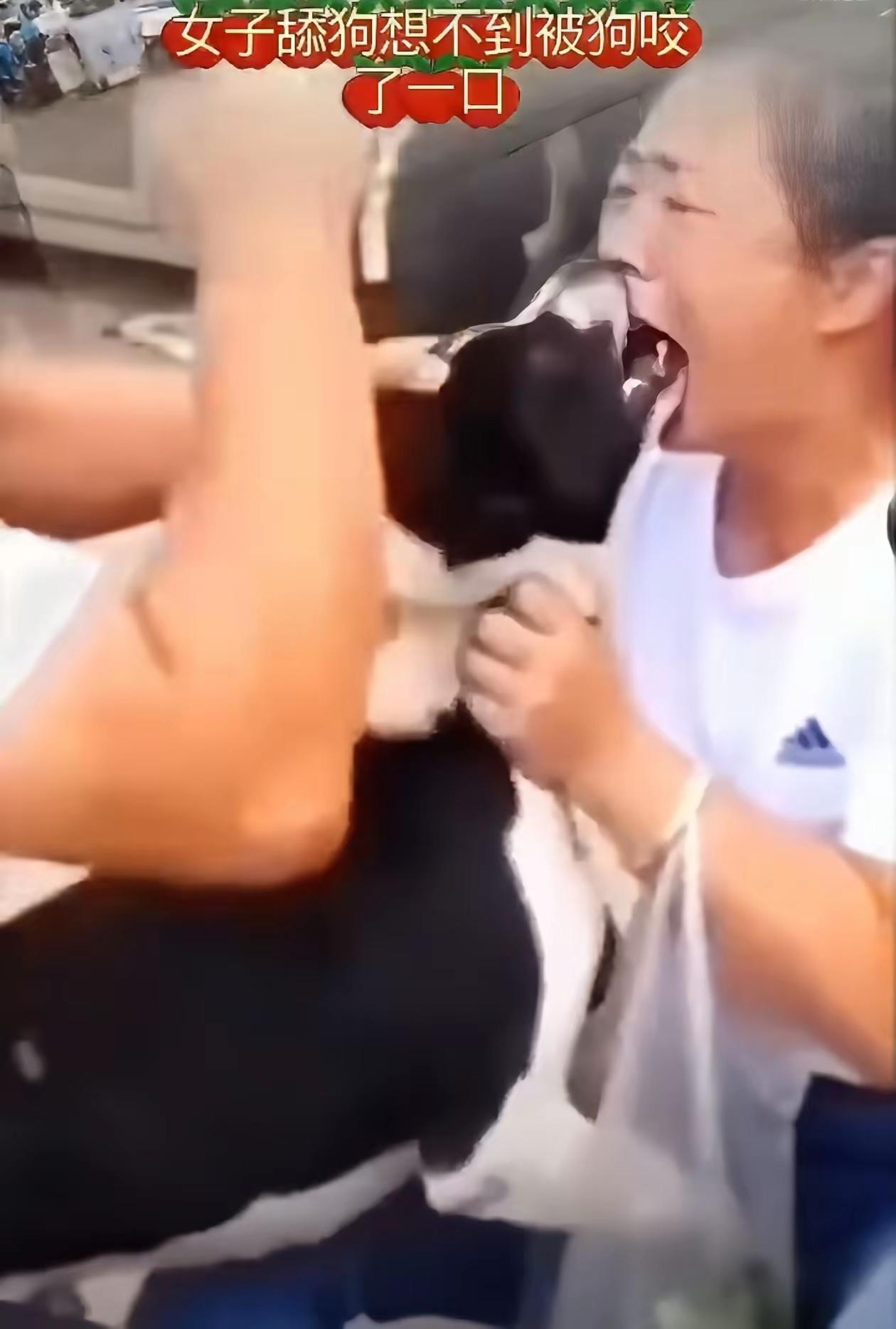 看到这个场面，你还敢养狗吗？
都说狗是人类的好朋友，但是，它终归还是一只狗而已，
